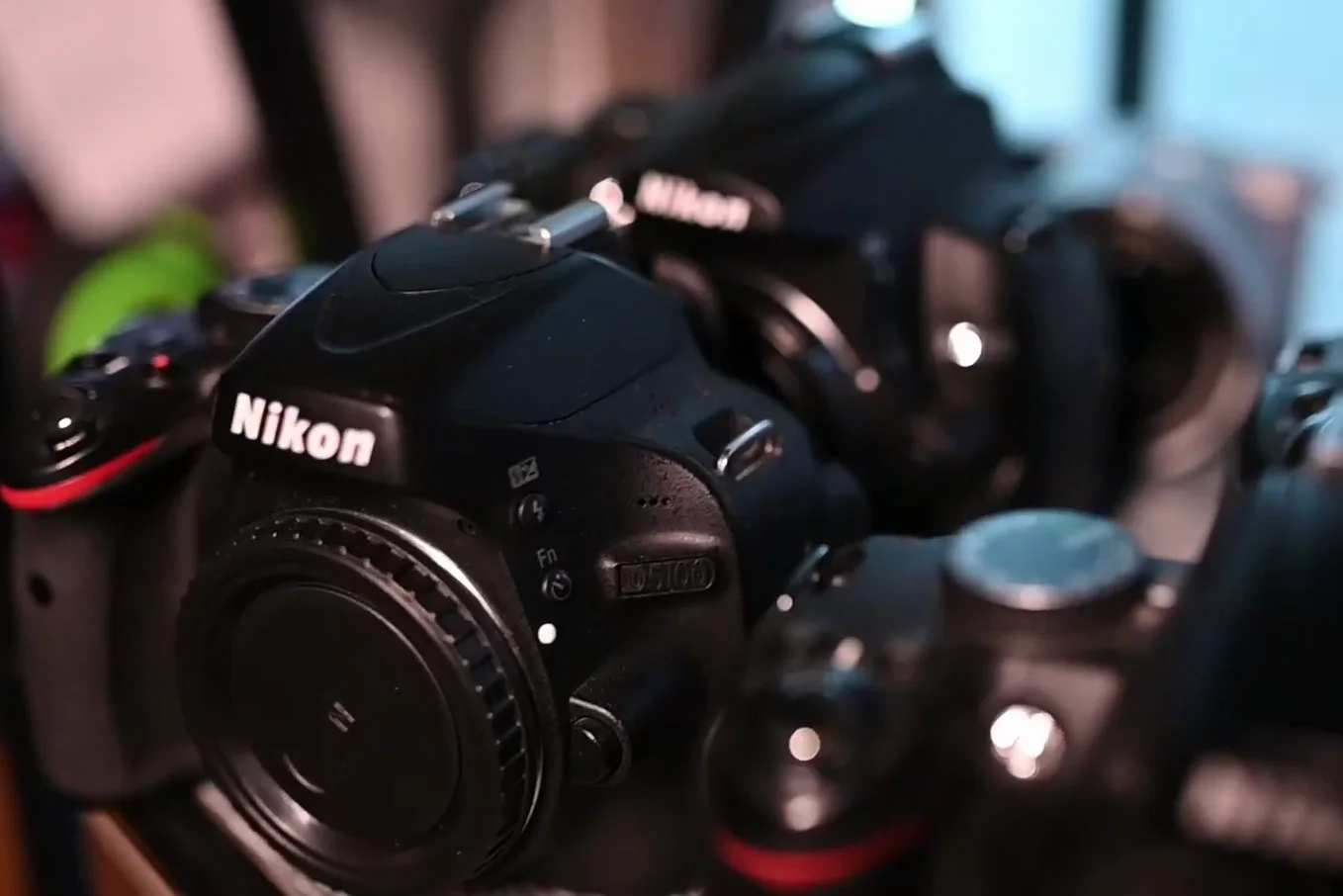 Collection of various Nikon DSLR cameras on a shelf