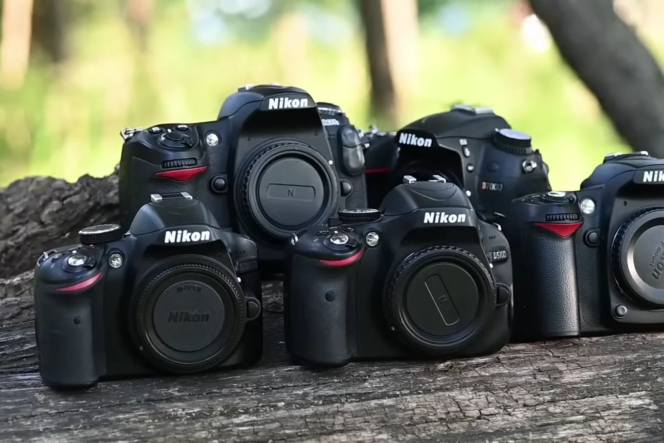Defy Inflation: Top 5 Nikon DSLRs Under $150 That Still Shoot Like Pros in 2025