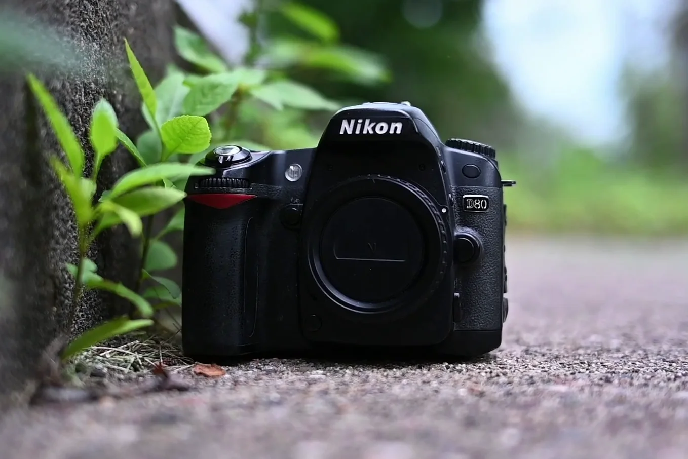 The Nikon D80 in 2025: Rediscovering the Magic of the CCD Sensor on a Budget