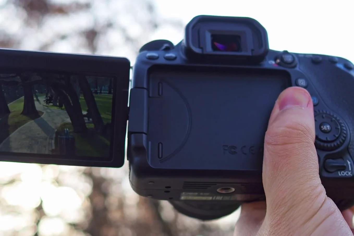 Canon 80D fully articulating flip screen showing a park scene